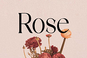 Discographica Classic Serif Font, a Serif Font by UICreative (Thumbnail 12 of 13)