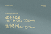 Nottingham, a Sans Serif Font by FactoryType Studio (Thumbnail 8 of 11)
