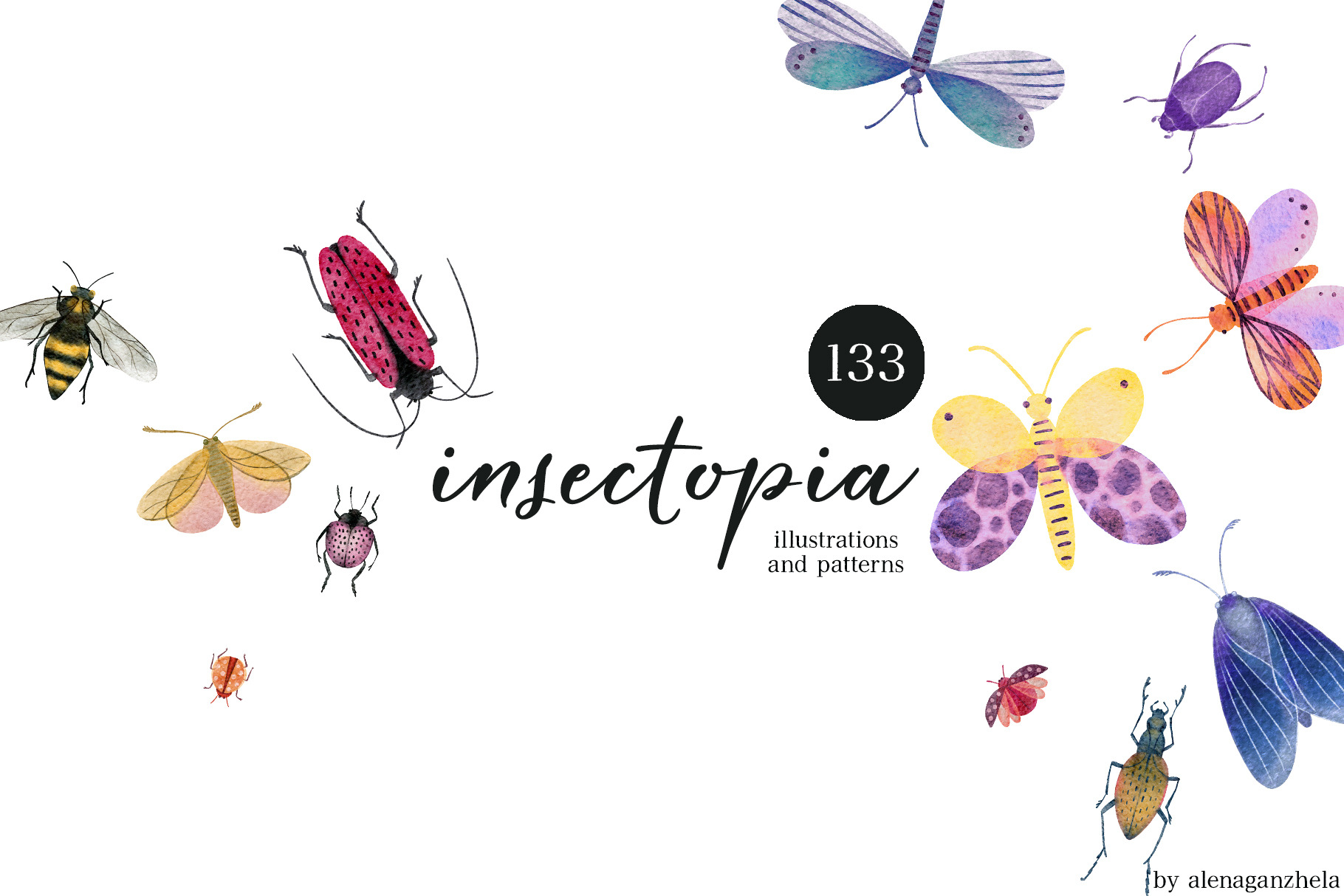 INSECTOPIA illustrations & patterns, an Object Illustration by ...