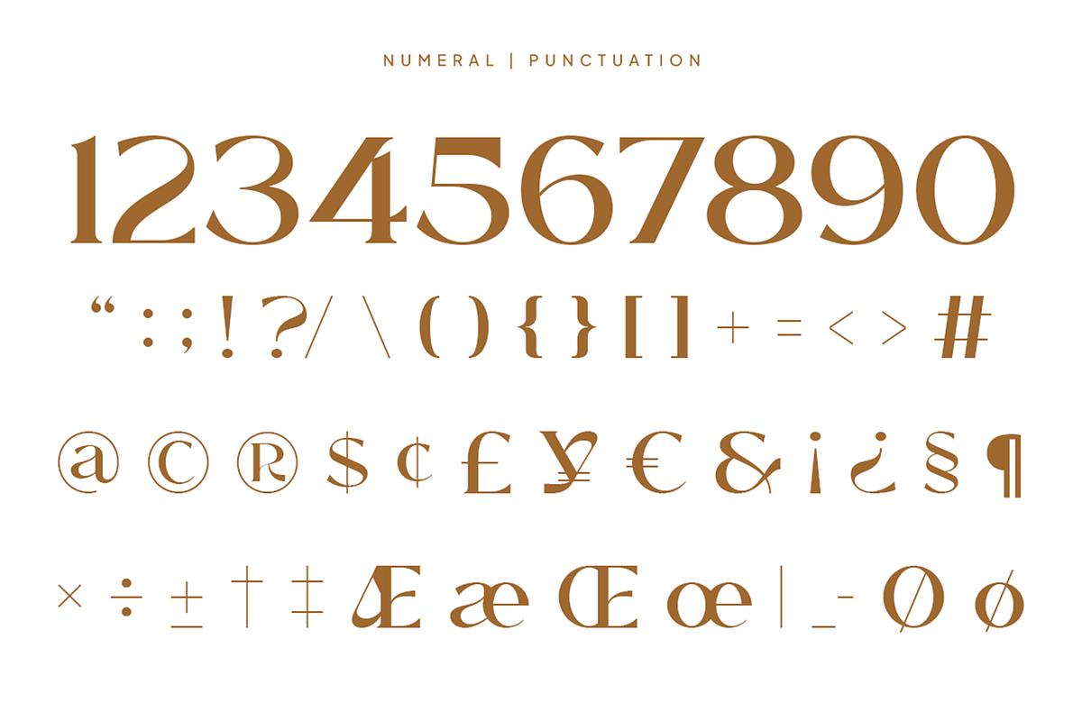 Windels - Elegant Serif Logo Font, a Serif Font by Pekotype (Photo 4 of 15)
