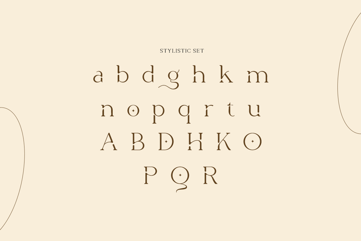 Spotless - Modern Stylish, a Serif Font by RockboyStd (Photo 11 of 12)