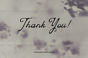 The Old Habit Vintage Script Font, a Script Font by AnMark (Thumbnail 13 of 13)