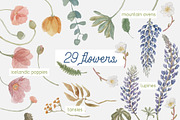 Icelandic Summer - 74 details, an Animal Illustration by Elisa Ursa (Thumbnail 2 of 10)