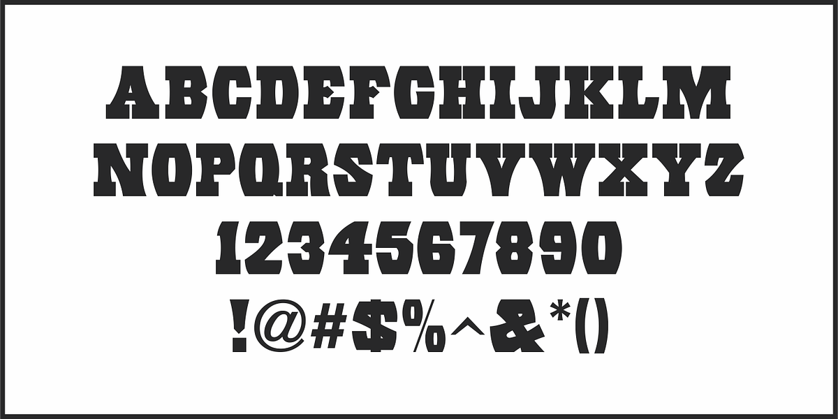 Eccentric Wood Type JNL, a Slab Serif Font by Jeff Levine Fonts (Photo 3 of 5)