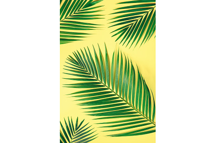 Tropical palm leaves on pastel, a Nature Photo by Enjoy Photo