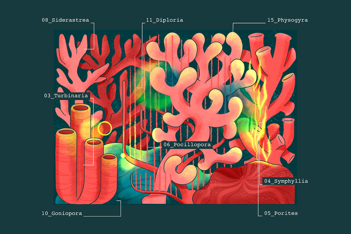 Cnidaria Procreate Brushes Set, a Brush Add-On by so.called.masha (Photo 7 of 7)
