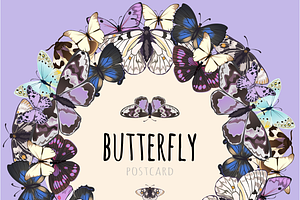 Butterflies Card With Space For Text