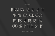 California - Stylish Fashion Font, a Serif Font by Sensatype (Thumbnail 7 of 15)
