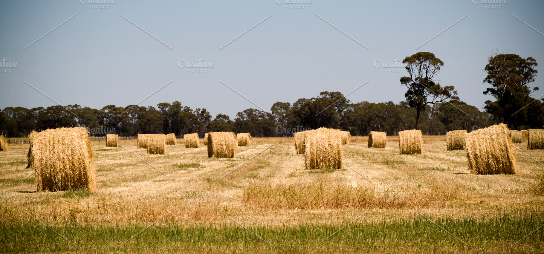 Hay Bales, a Nature Photo by THP Creative