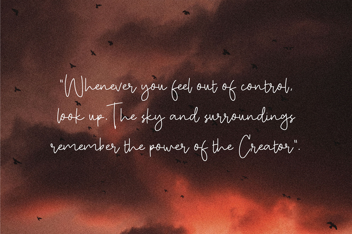Maurichia, a Script Font by Pustudio (Photo 8 of 9)