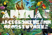 FTF Minthee Hewante Pro, a Symbol Font by Fizzetica Typefoundry (Thumbnail 3 of 3)