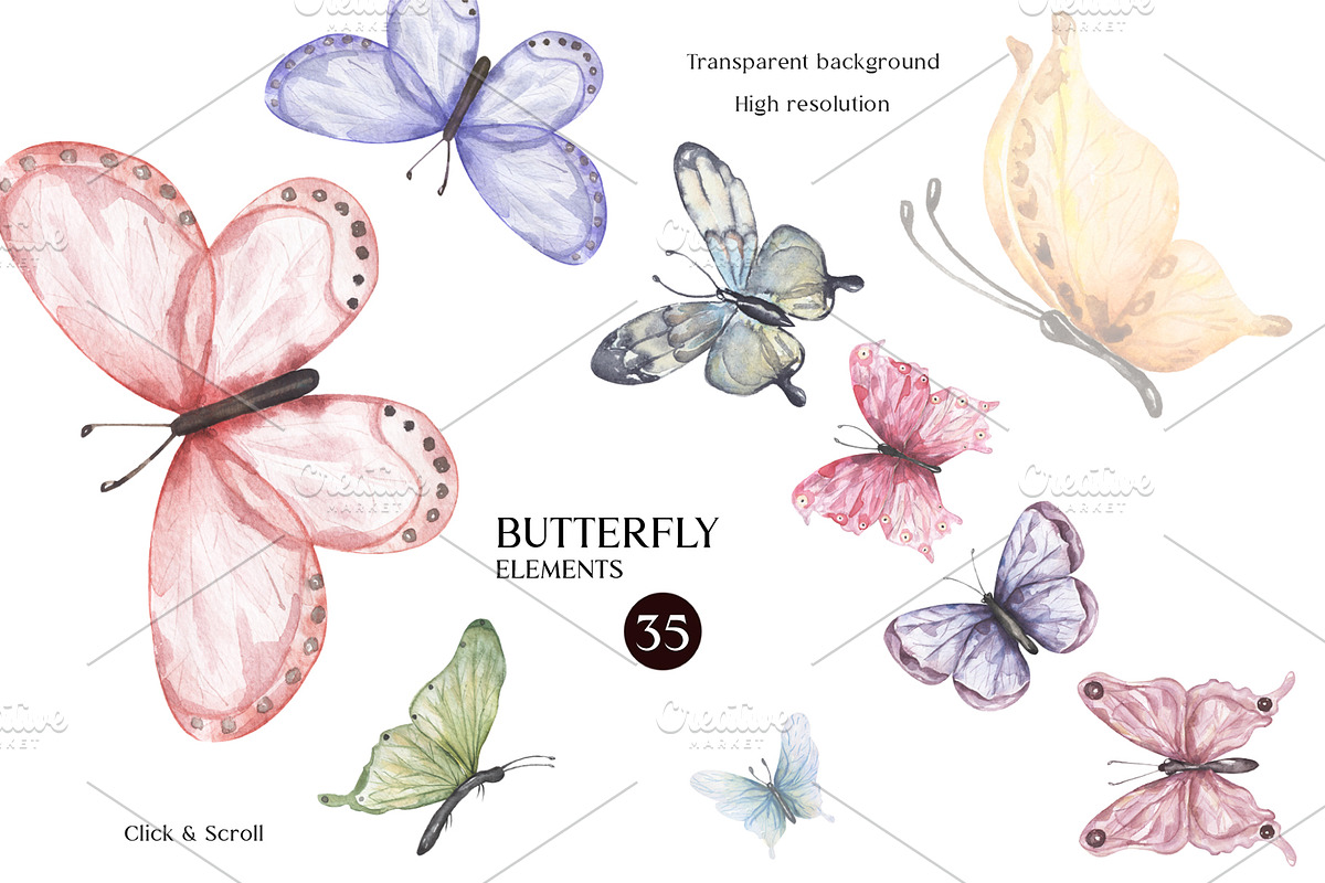 Watercolor Butterfly Collection, a Decorative Illustration by MayaNavits (Photo 2 of 15)