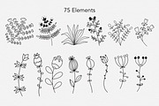 Lovely Floral Doodles, a Brush Add-On by Sense Library (Thumbnail 13 of 30)