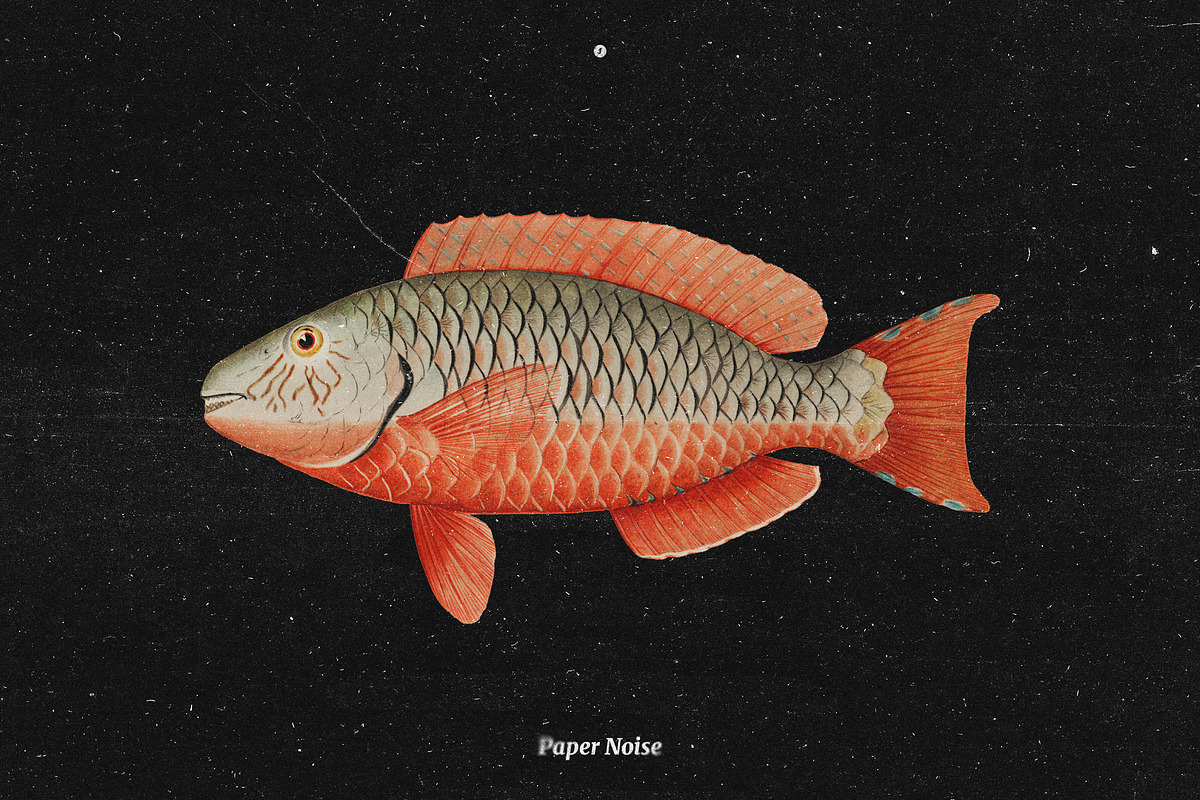 176 Paper Noise Overlays & Textures, a Texture Graphic by Freezerondigital (Photo 16 of 24)