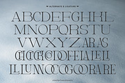 Elviante - Condensed Serif Font, a Serif Font by Flawless And Co (Thumbnail 9 of 10)