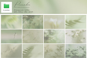 PENUMBRA Soft Green Blur Backgrounds, a Background Graphic by alonahaidash (Thumbnail 11 of 15)