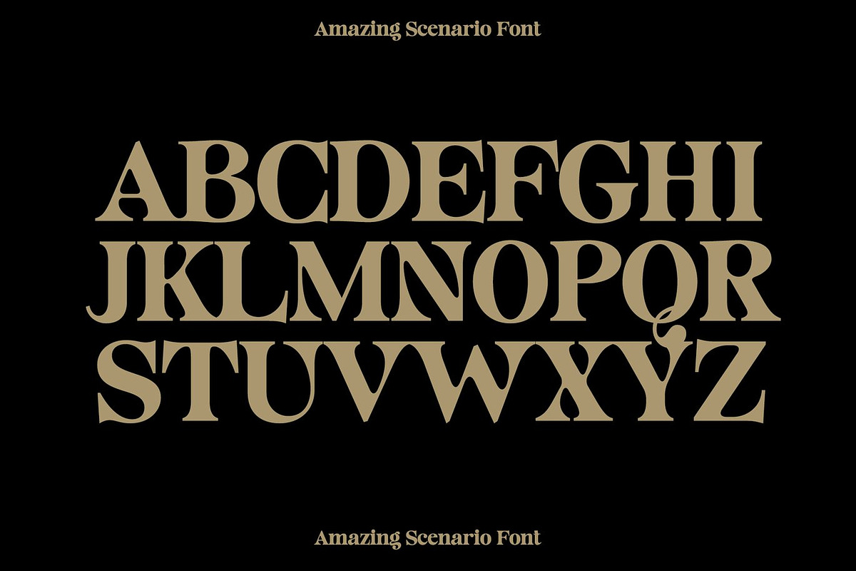 Classif - Elegant Serif Font, a Serif Font by Luna Shop (Photo 8 of 12)