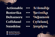 Bestorika - Modern Serif, a Serif Font by Mokatype Studio (Thumbnail 9 of 15)