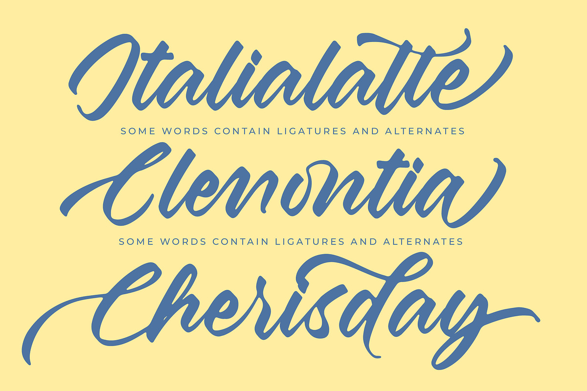 Aretlar Eraghes Bold Calligraphy, a Script Font by Letterena Studios Script (Photo 12 of 20)