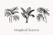 Tropical Leaves, a Decorative Illustration by PeDe Designs (Thumbnail 3 of 7)