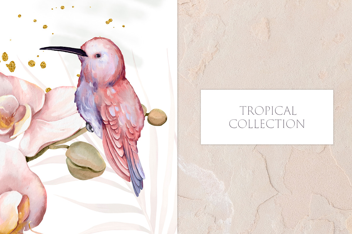 Watercolor Tropical Collection, an Illustration by Les Frolova (Photo 7 of 14)