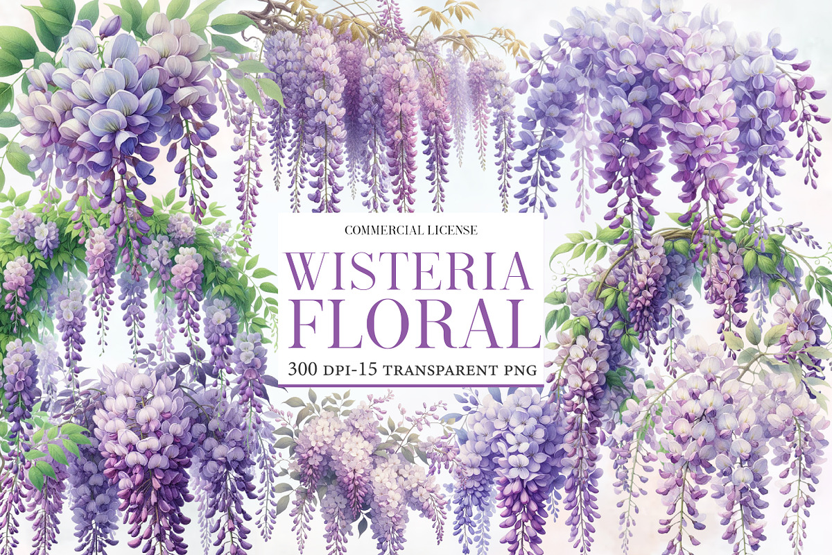 Wisteria Floral Garden Clipart, an Illustration by Designworld (Photo 1 of 5)
