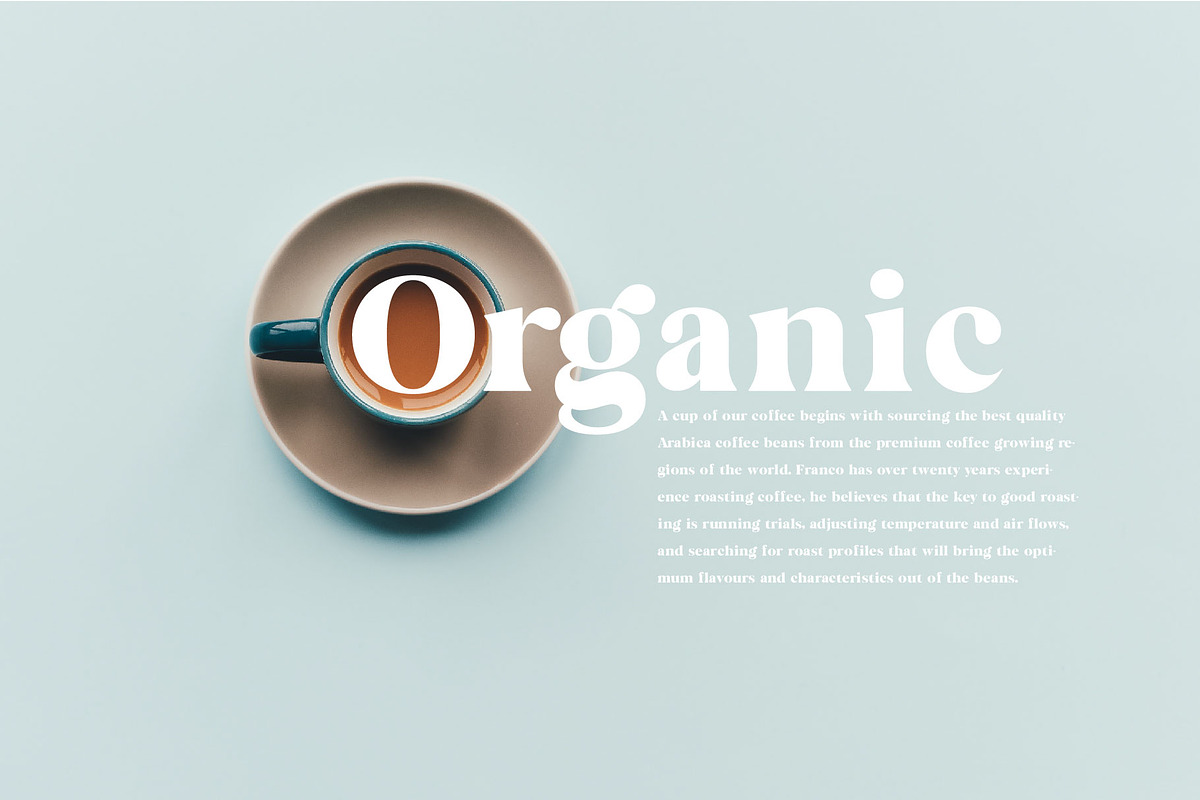 The Chic & Unique Modern Font Bundle, a Sans Serif Font by Tropical Type (Photo 15 of 40)