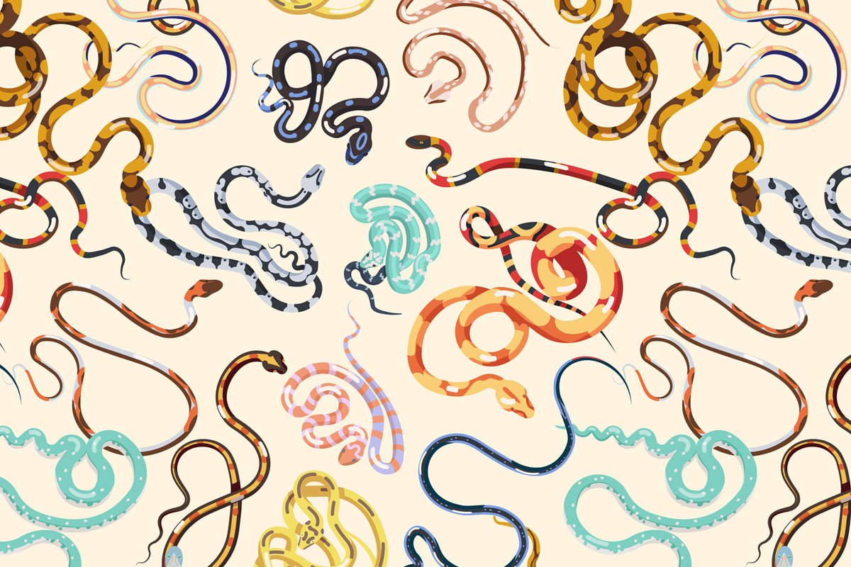 Snakes set and seamless, an Animal Illustration by Good Studio (Photo 4 of 10)