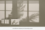 Tropical & Window Shadow Overlay, a Product Mockup by Lifestyle Project (Thumbnail 6 of 9)