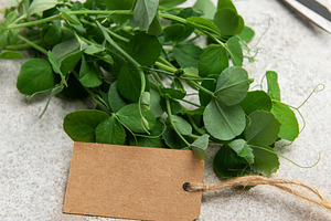 Fresh pea shoots with blank label and scissors on table, a Food & Drink Photo by Olena Rudo