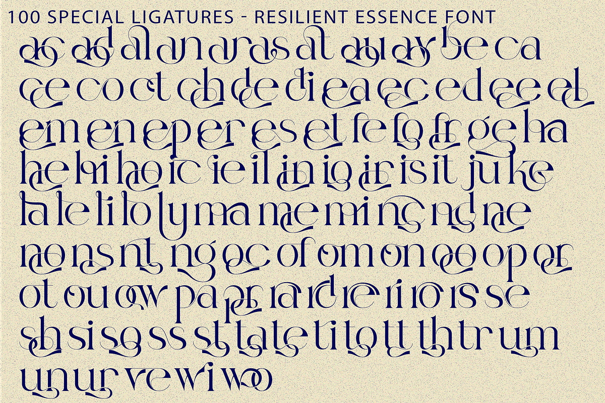 Resilient Essence - Elegant Font, a Serif Font by 177Studio (Photo 8 of 8)