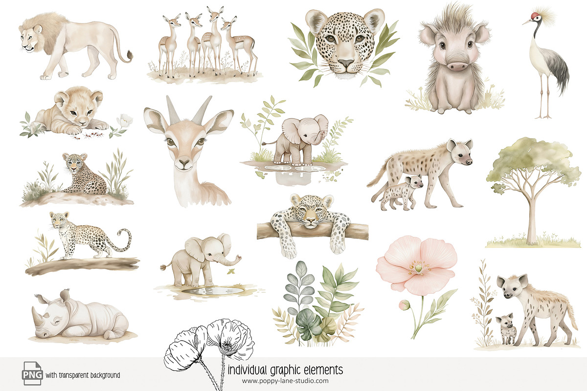 100 African savanna animals clip art, an Animal Illustration by Poppy Lane Studio (Photo 8 of 12)