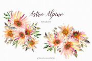 Astro Alpino - Watercolor Flowers, a Decorative Illustration by MariaScaroniAtelier (Thumbnail 2 of 7)