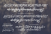 Qindom, a Script Font by Realtype (Thumbnail 11 of 12)
