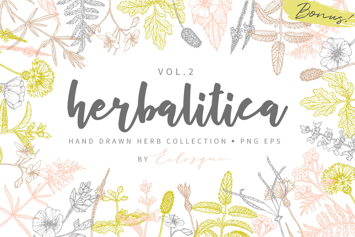 Herbalitica Vol.2 Flower Set, a Healthcare Illustration by eclosque (Photo 1 of 12)