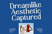 Aesthetic Wonder - Modern Aesthetic, a Serif Font by Prioritype Co (Thumbnail 16 of 20)