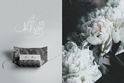 Gentle Whisper. Wedding Floral Font, a Handwritten Font by AnMark (Thumbnail 3 of 11)