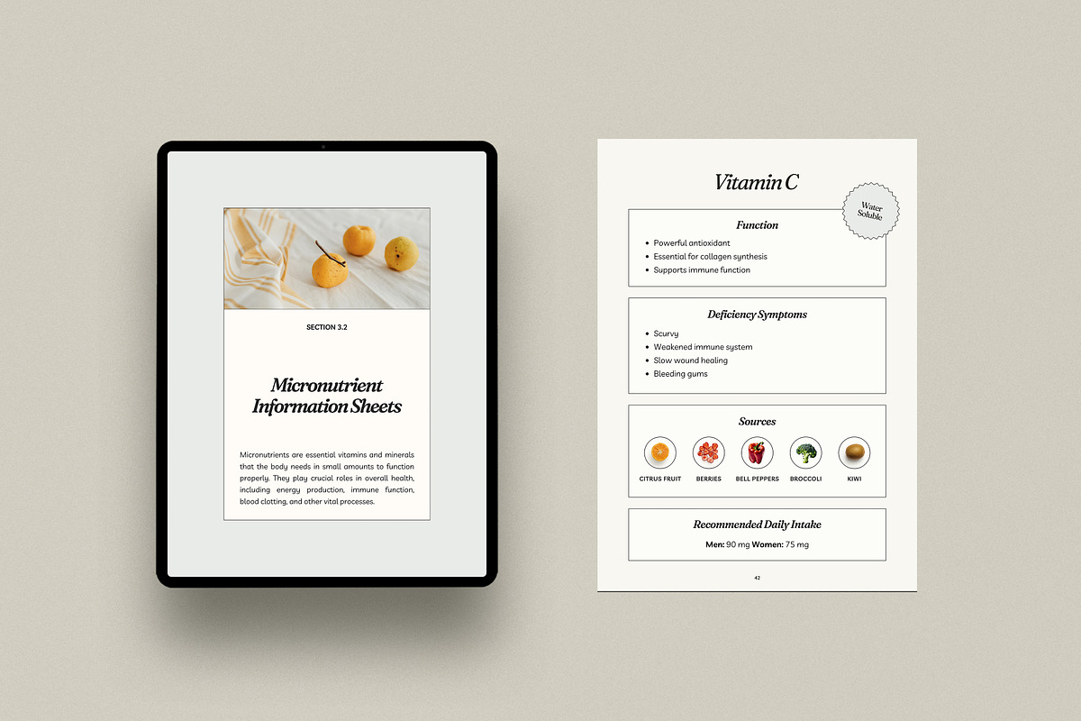 Nutrition Coach Workbook, a Magazine Template by Willoe Studio (Photo 7 of 14)