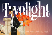 Twolight New Modern Serif Font, a Serif Font by timelesstype.co (Thumbnail 1 of 20)