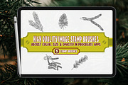 Pine Leaf Brush Stamp for Procreate, a Brush Add-On by vectstudio (Thumbnail 2 of 3)