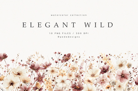 Elegant Wild Flowers, a Decorative Illustration by PeDe Designs