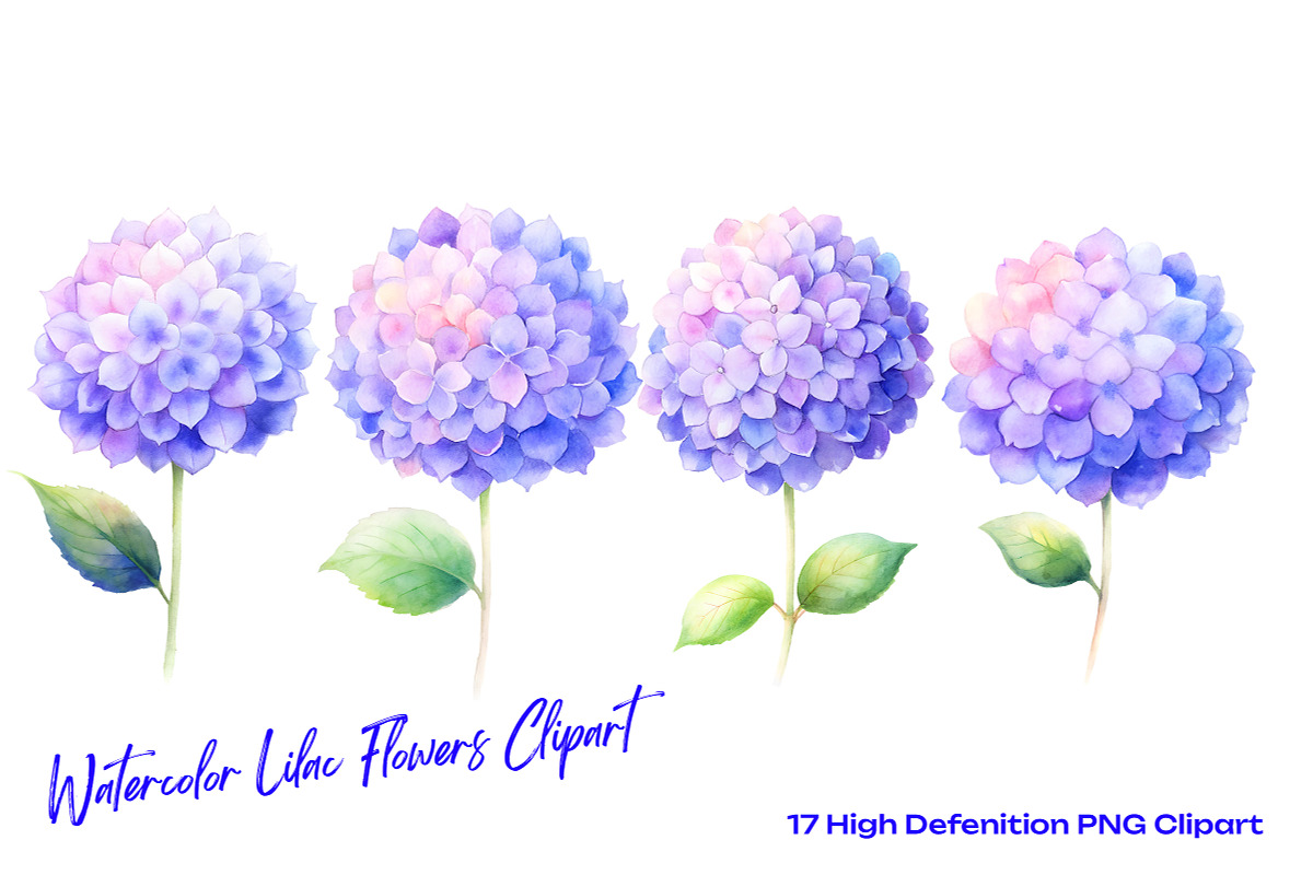 Watercolor Lilac Flowers Clipart, an Object Illustration by crafty (Photo 5 of 5)
