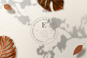 520 A to Z Floral Logos Bundle, a Branding & Logo Template by AN Productions (Thumbnail 36 of 223)