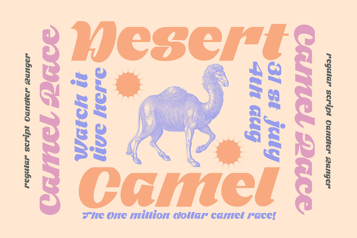 Candler Ranger Font Duo, a Script Font by Damelev (Photo 3 of 8)