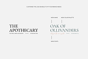 Apothecary Logo Bundle, a Branding & Logo Template by JP | Designs (Thumbnail 2 of 9)