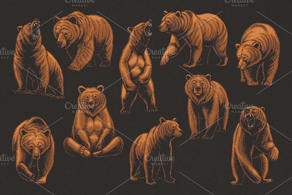 Bear Illustrations Hand-Drawn Vector, an Animal Illustration by Trape Graphic Studio (Photo 3 of 10)