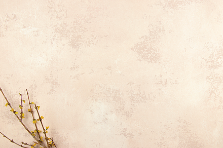 Pink and Yellow Floral Background, a Photo by Clove and Cedar Design