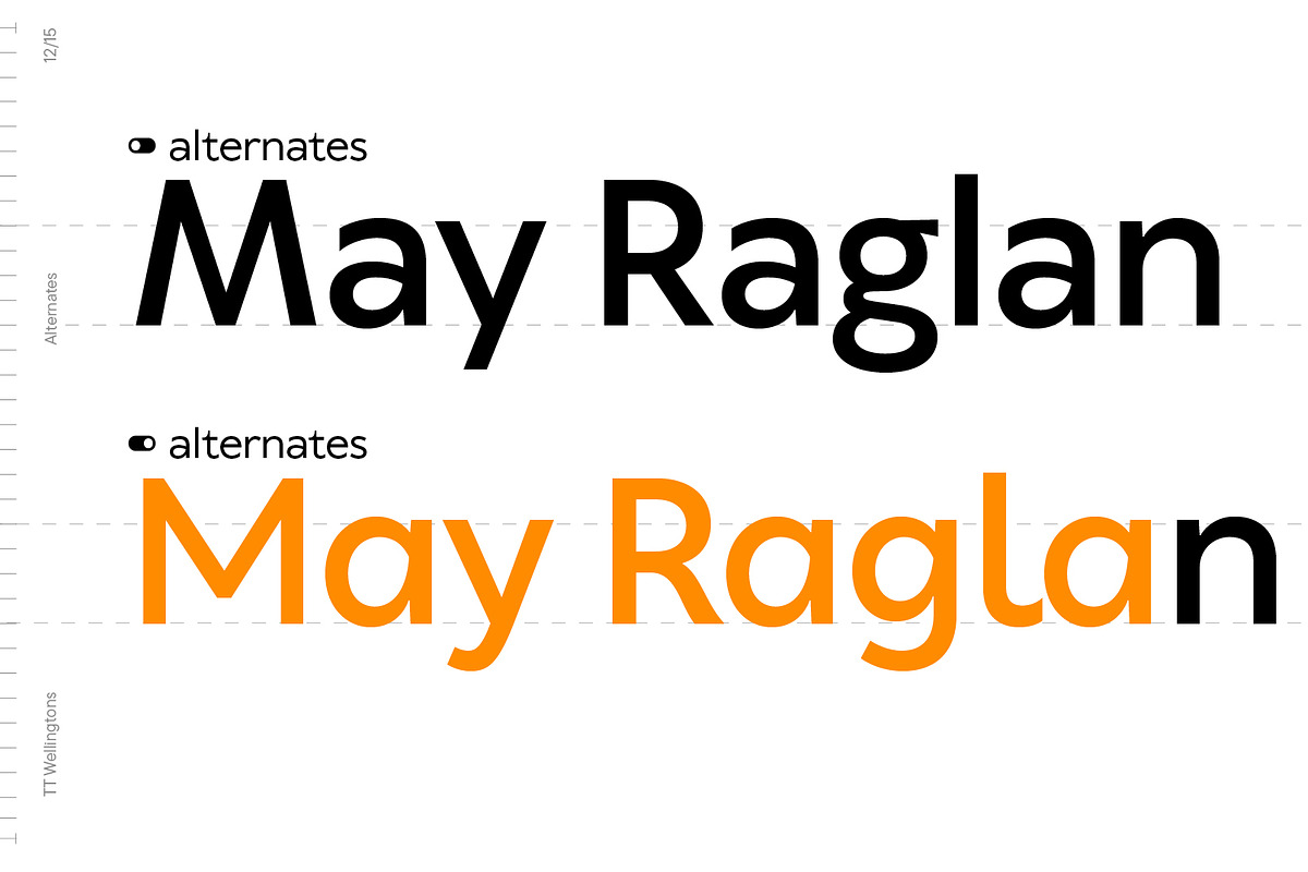 TT Wellingtons, a Sans Serif Font by TypeType (Photo 12 of 15)