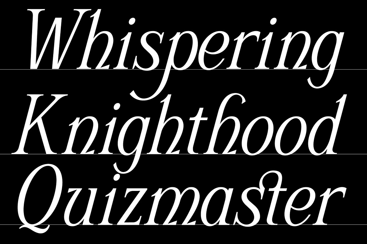 Schriftolia — Elegant Serif Italic, a Serif Font by Invasi Studio (Photo 2 of 12)