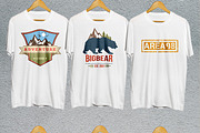 12 Vintage Badge Logos Version 1, a Branding & Logo Template by Graphicgo (Thumbnail 6 of 8)